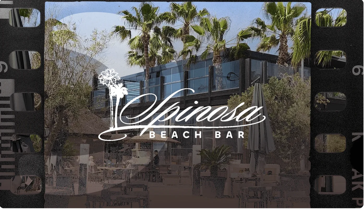 DNA Case Study - one off SEO setup for restaurant business attracting 1600 clicks by its first summer