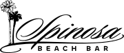 DNA Creators marketing agency review from client Spinosa Beach Bar